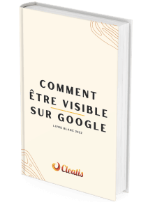 preview_couverture_livre_blanc-212x300 Livre blanc "Comment être référencé sur Google en 2024-2025"