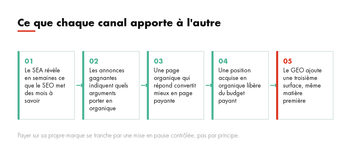 Ce que chaque canal apporte à l'autre : Le SEA révèle en semaines ce que le SEO met des mois à savoir, Les annonces gagnantes indiquent quels arguments porte...